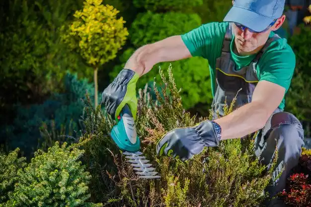 landscaping services Mount Carmel